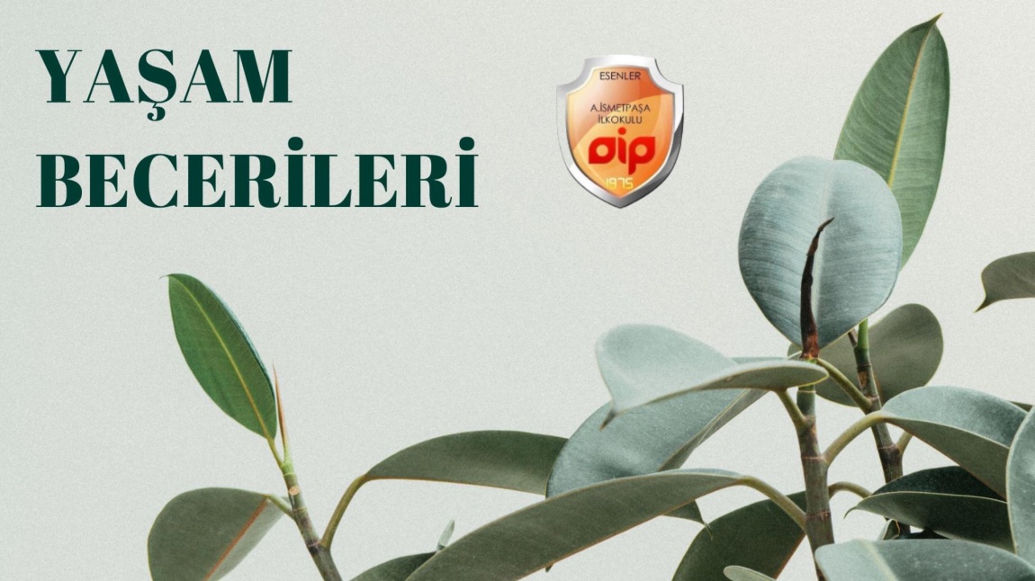 Yaşam Becerileri Etkinlikleri 